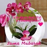Ismael Mody