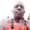 Elvis Akalusi