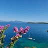 Βάντα Στουπή