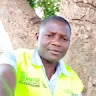 david panyi