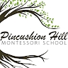 Pincushion Hill