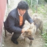 Socrates Dasaklis