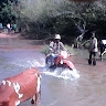 Evans chileshe