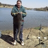 Niek Louw