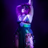 Queen Rose