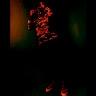 610 Smoke