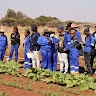 Phemelo Sebothoma