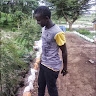 Harry Kivayiru kidavi