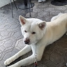sergei S