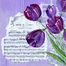 Shauna Haslip