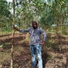 Noah Kimaite