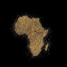 S. Nzau  