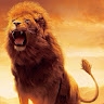 Lion Lion
