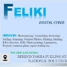 FELIKI CYBER