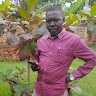 bwoye tadeo