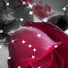Roja reddy
