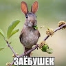 Анна Игоревна