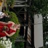 Trista E