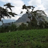 Lucy Nkirote