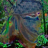 DigitalKid  