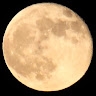 Butov Alex