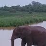 Karanja Mwangi