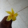 Tenucharity Afefa