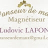 ludo panseur de maux