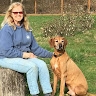 Jill Carlson