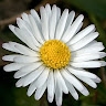 Liese Vrydag
