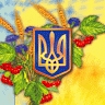 Artem Plotnikov
