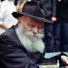 דבורי סגל