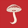 Jaren Hodder