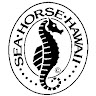 Sea Horse Hawaii  