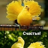Надія Семенюк