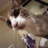 nellyy  