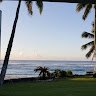 Moana Caffery