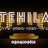 תהילה ניסני