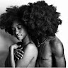 Black Humboldt