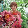 Наталья Комаревцева
