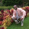 Marcus Fox