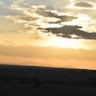 Dansoye H