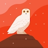 Hoot Coachman