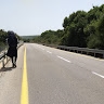 מיכל טויטו