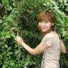 Елена Горкунова