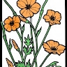 Tery2532  