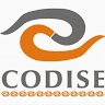 Codise Editorial