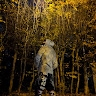 Богдан Цюник