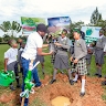 asiimwe william