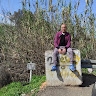 RAFI levy